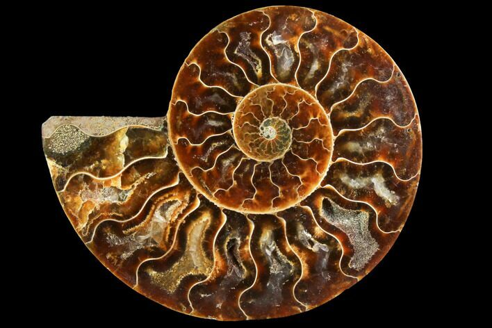 Agatized Ammonite Fossil (Half) - Madagascar #116802